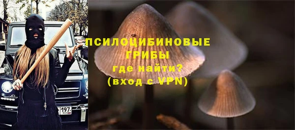 бошки Гусь-Хрустальный
