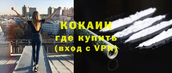 PSILOCYBIN Гусиноозёрск