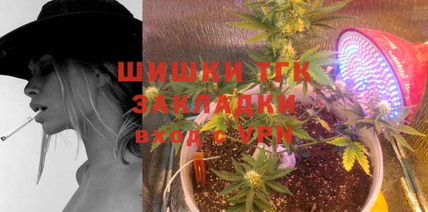 бошки Гусь-Хрустальный